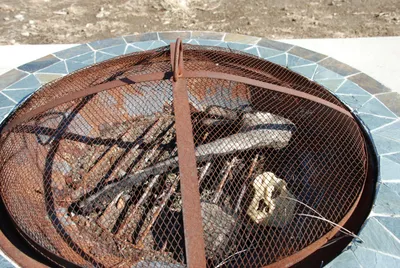 DSC_0050 (Large).JPG